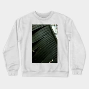 Banana 03 Crewneck Sweatshirt